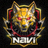 Natus Vincere 战队官方队徽